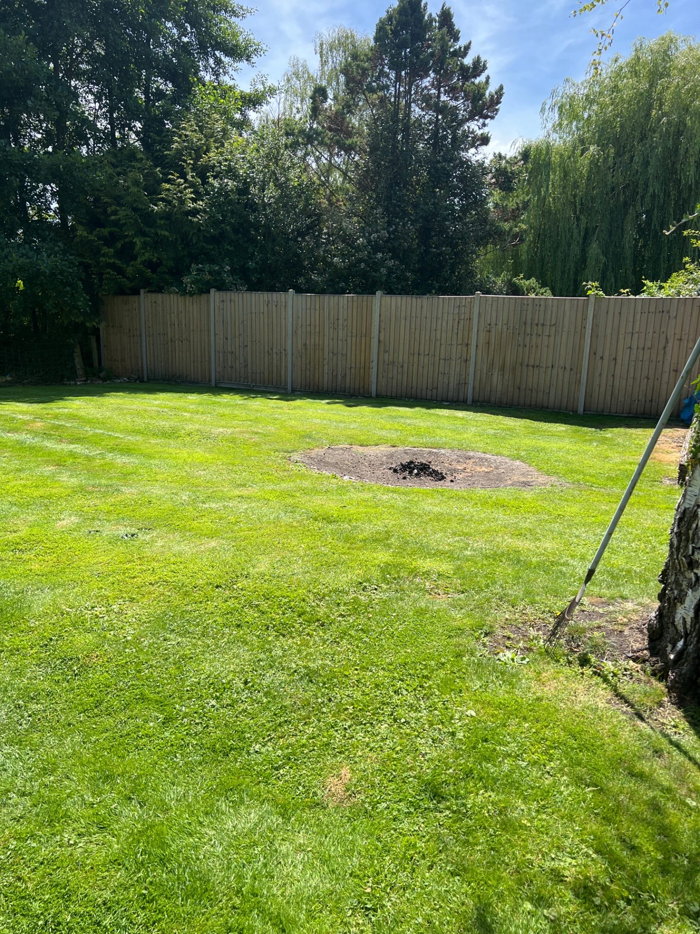 After 3 — Lawn mow + edge + tidy in Longparish