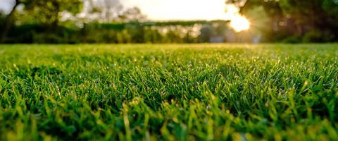 AST Fencing Contractors